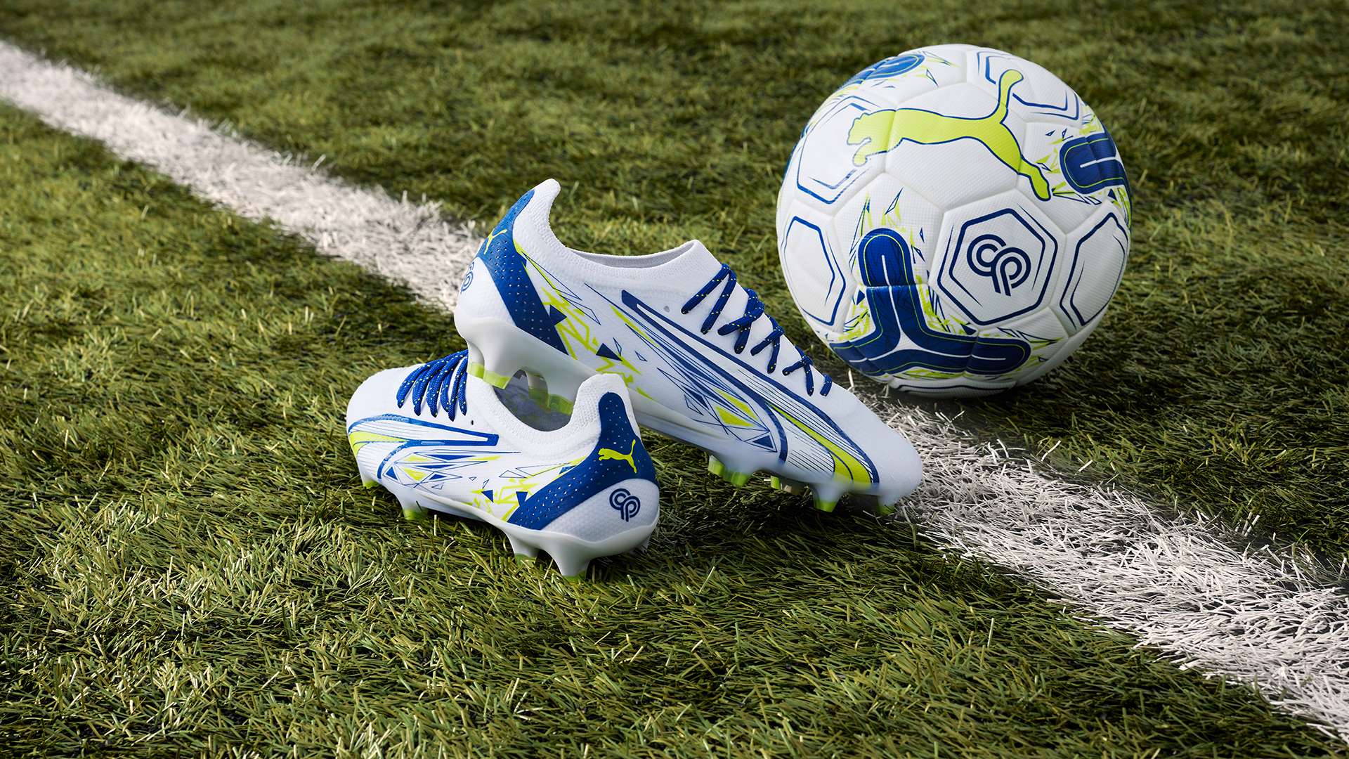 迎来了事业 迎来了事业